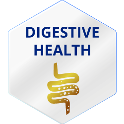 Digestive Health