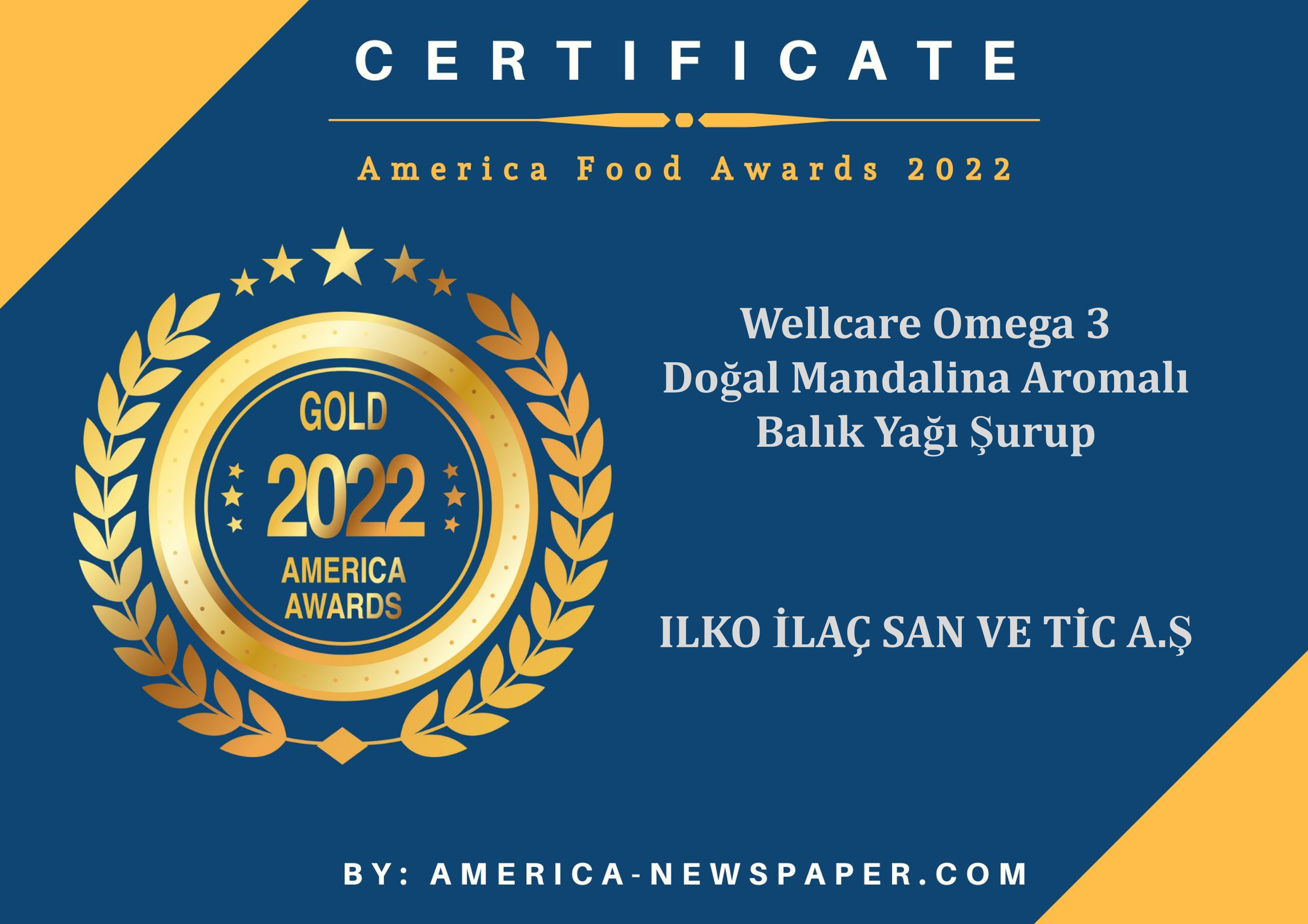 America Food Awards 2022 Gold Cert Wellcare Omega 3 Doğal Mandalina Aromalı Balık Yağı Şurup