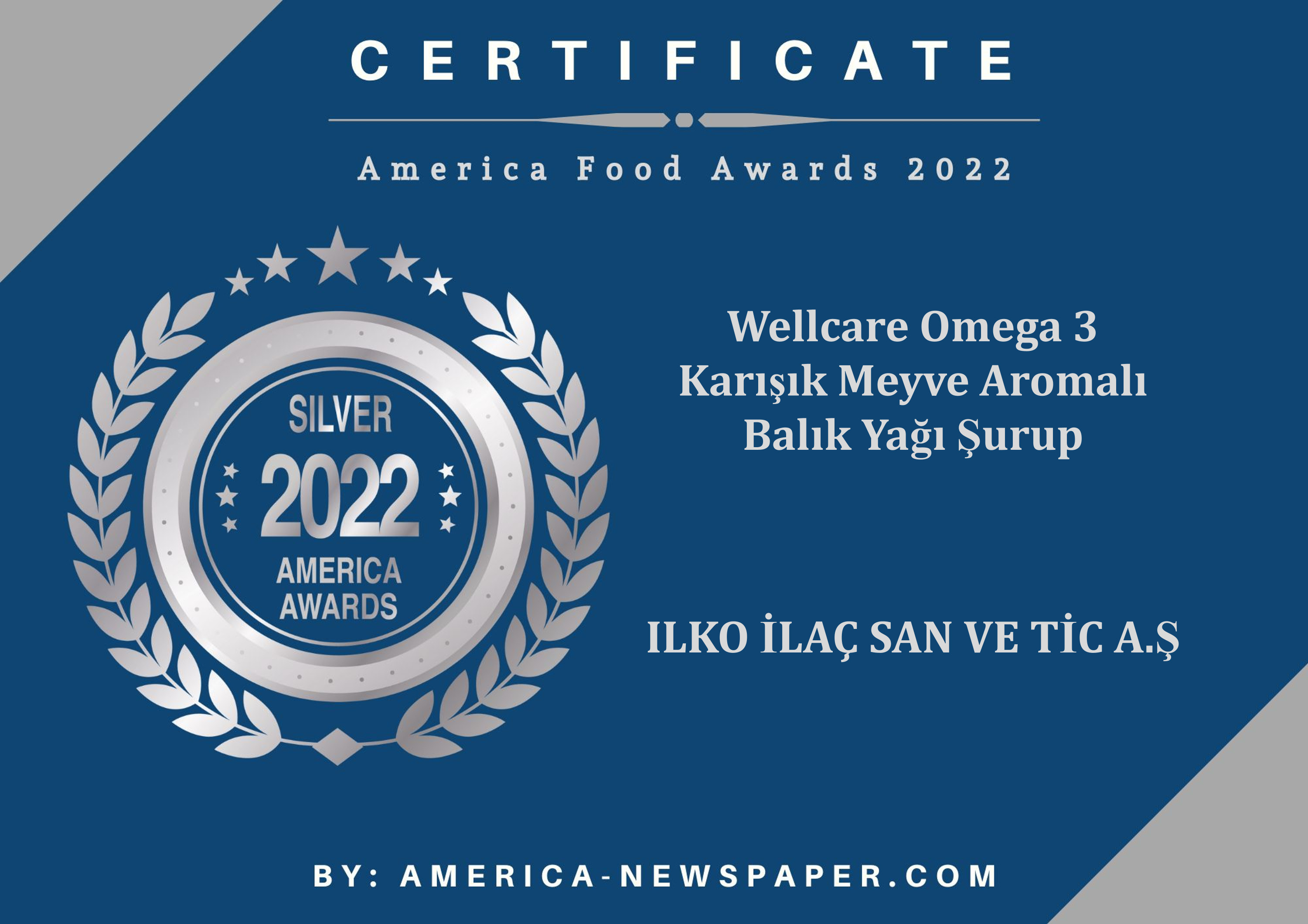 America Food Awards 2022 Silver Cert Karışık Meyve Aromalı Balık Yağı Şurup
